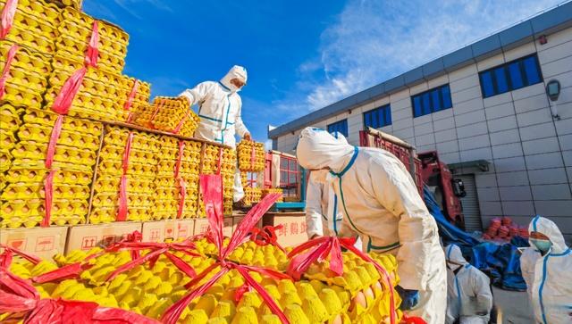 佛山南海建成消費幫扶黔貨入粵集散地，助力優質農產品流通