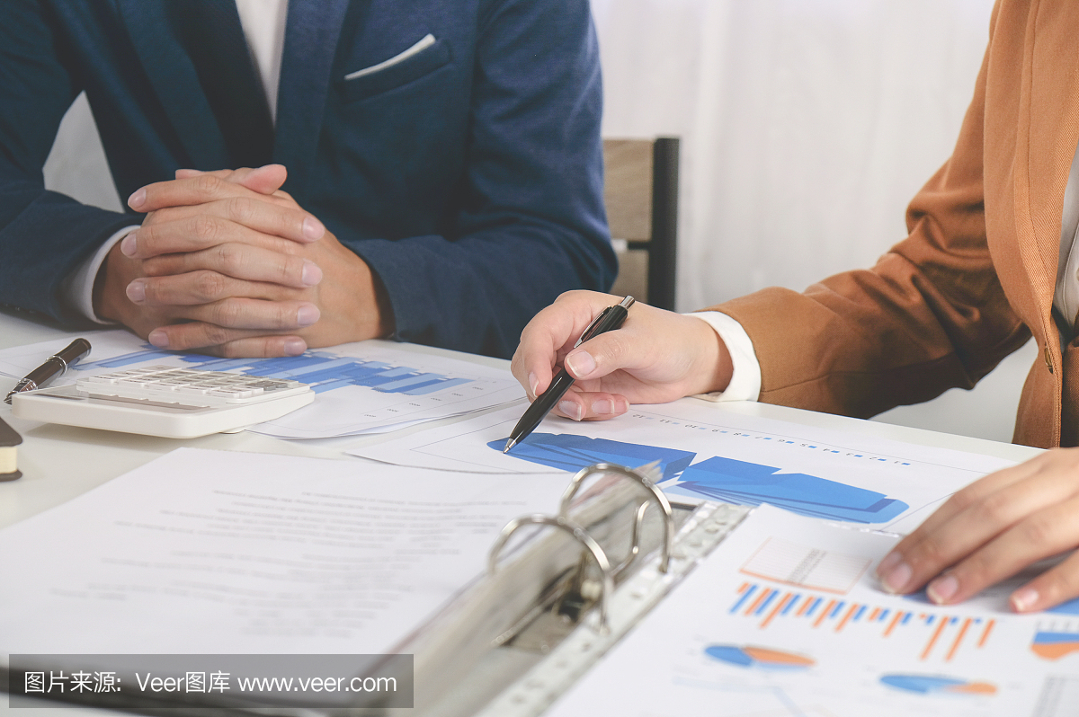 商務(wù)主管在辦公室進(jìn)行業(yè)績銷售的咨詢談判會(huì)議。