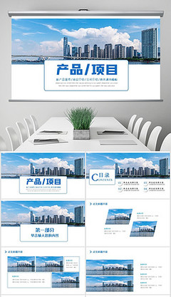 項(xiàng)目咨詢